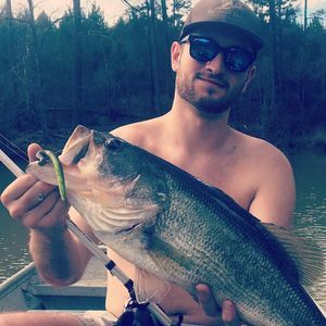 Meet your Posher, Casey